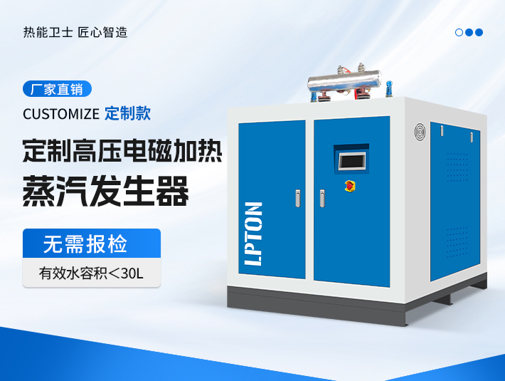 定制高壓電磁加熱蒸汽發(fā)生器